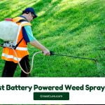 Read more about the article 5 Best Battery Powered Weed Sprayers 2024