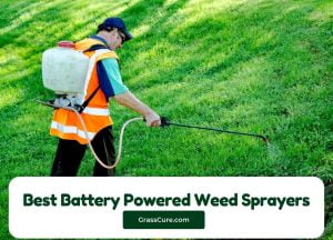 Read more about the article 5 Best Battery Powered Weed Sprayers 2024