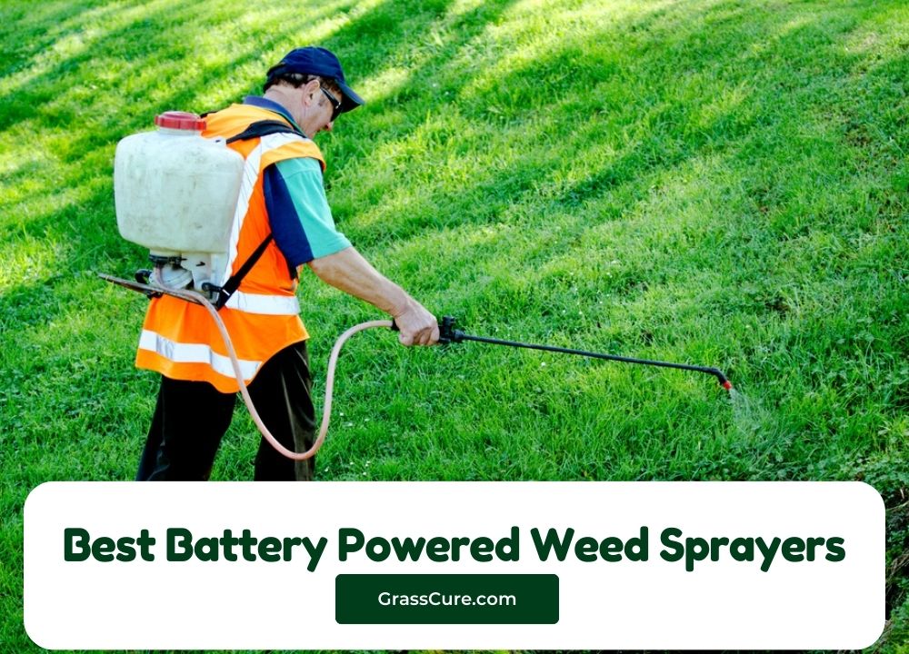 Best Battery Powered Weed Sprayers