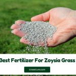 Read more about the article 5 Best Fertilizer For Zoysia Grass 2024