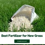 Read more about the article Best Fertilizer for New Grass 2024