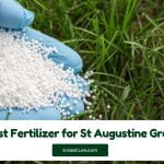 Read more about the article Best Fertilizer for St Augustine Grass 2024