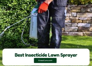 Read more about the article 5 Best Insecticide Lawn Sprayer 2024