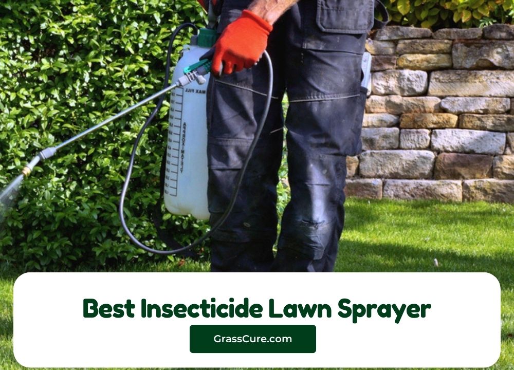 Best Insecticide Lawn Sprayer