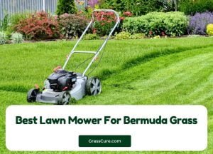 Read more about the article 6 Best Lawn Mower For Bermuda Grass 2024