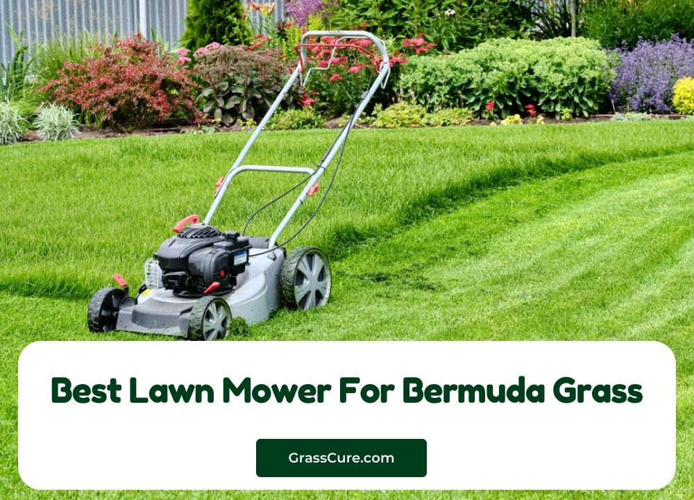 You are currently viewing 6 Best Lawn Mower For Bermuda Grass 2024