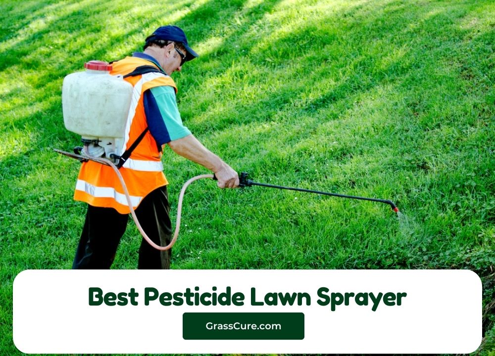 Best Pesticide Lawn Sprayer