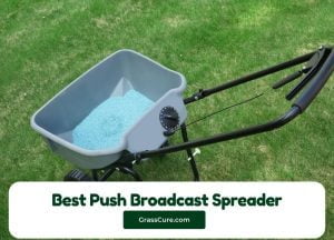 Read more about the article 5 Best Push Broadcast Spreader 2024