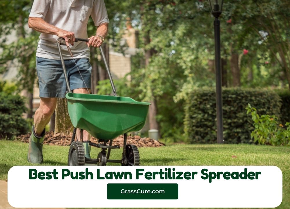 Best Push Lawn Fertilizer Spreader