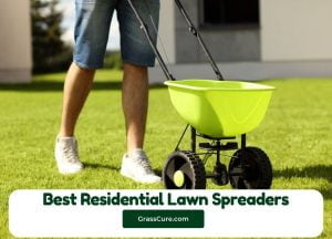 Read more about the article 5 Best Residential Lawn Spreaders 2024