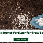 Read more about the article 5 Best Starter Fertilizer for Grass Seed 2024