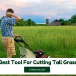 Read more about the article Best Tool for Cutting Tall Grass 2024