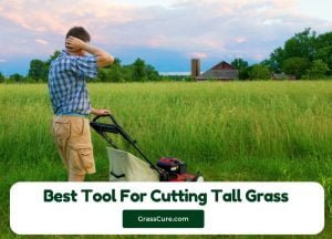 Read more about the article 7 Best Tool for Cutting Tall Grass