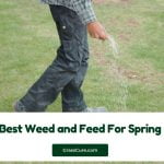 Read more about the article 5 Best Weed and Feed For Spring