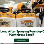 Read more about the article How Long After Spraying Roundup Can I Plant Grass Seed?