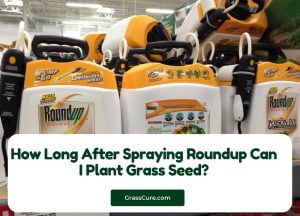 Read more about the article How Long After Spraying Roundup Can I Plant Grass Seed?