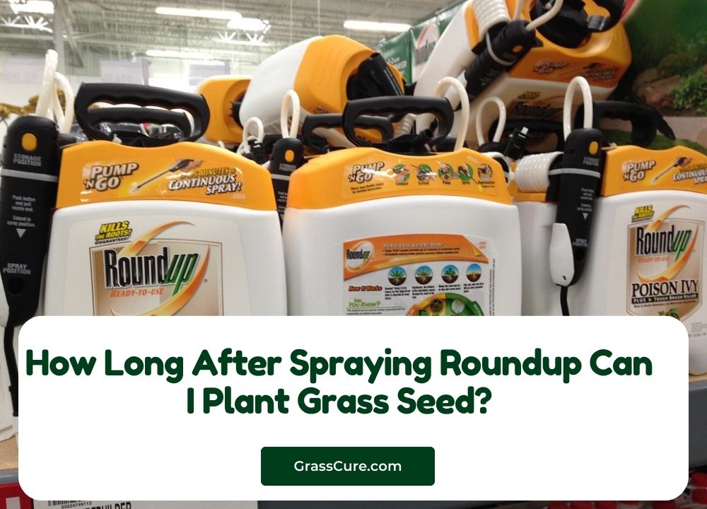 How Long After Spraying Roundup Can I Plant Grass Seed