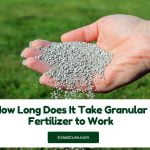 Read more about the article How Long Does It Take Granular Fertilizer to Work