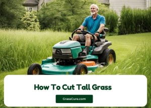 Read more about the article How To Cut Tall Grass?