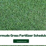 Read more about the article Bermuda Grass Fertilizer Schedule