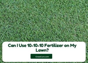 Read more about the article Can I Use 10-10-10 Fertilizer on My Lawn?