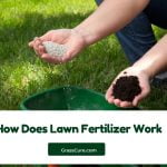 Read more about the article How Does Lawn Fertilizer Work