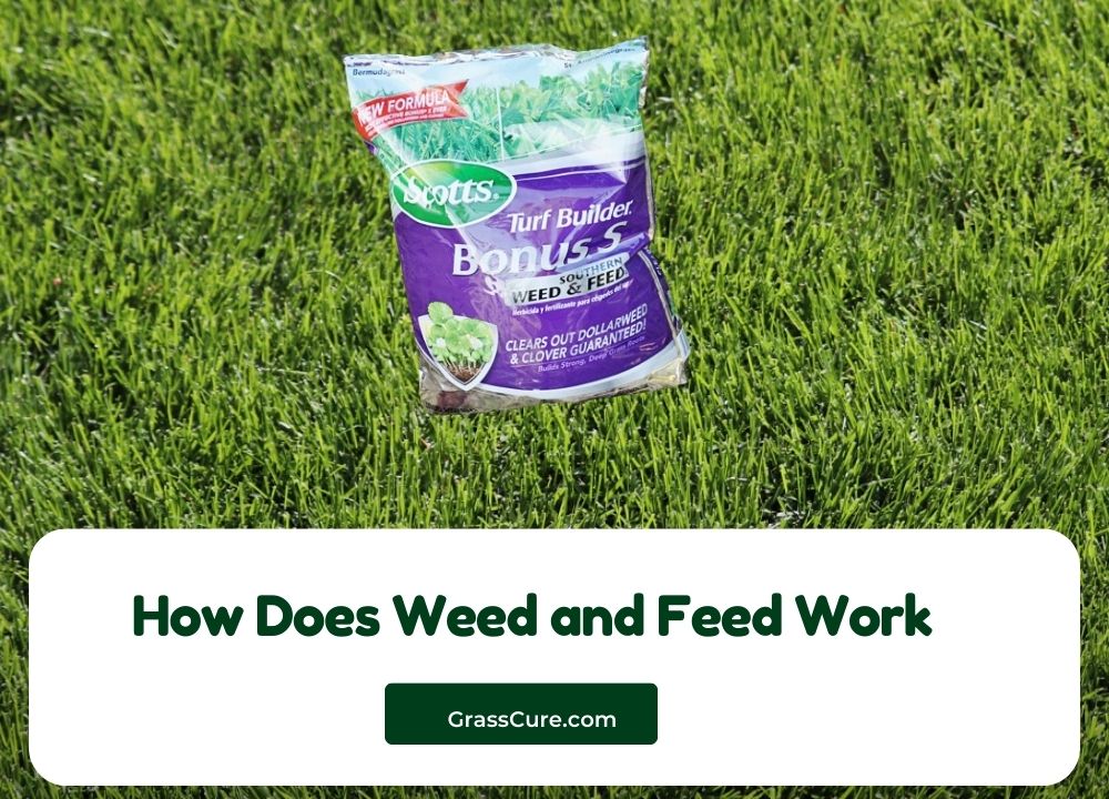 How Does Weed and Feed Work