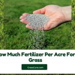 Read more about the article How Much Fertilizer Per Acre For Grass?