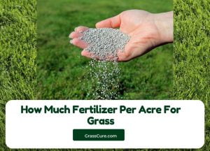 Read more about the article How Much Fertilizer Per Acre For Grass?