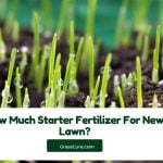 Read more about the article How Much Starter Fertilizer for New Lawn?