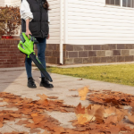 Read more about the article Best Battery Powered Leaf Blower Vacuums