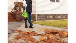 Read more about the article Best Battery Powered Leaf Blower Vacuums