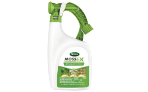 Read more about the article 5 Best Moss Killer for Grass 2024