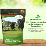 Read more about the article 3 Best Bent Grass Seeds 2025