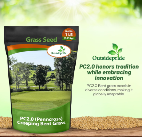 You are currently viewing 3 Best Bent Grass Seeds 2025