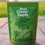Best Clover Seeds