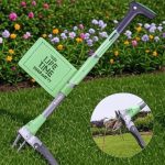 Best Dandelion Removal Tools