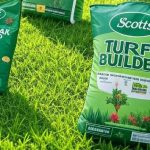 Best-Scotts-Fertilizer-for-Bermuda-Grass