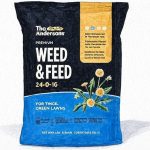 Best Weed and Feed for Centipede Grass