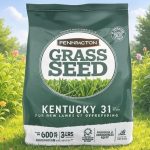 Best Grass Seed for Sandy Soil