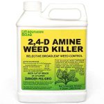 Best 2 4-D Weed Killer