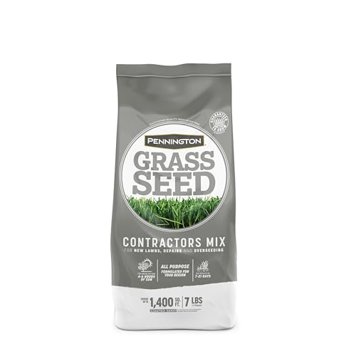 Best Grass Seed for Overseeding Existing Lawn