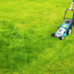 Can You Use Electric Lawn Mower on Wet Grass