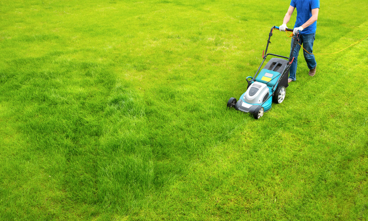 Can You Use Electric Lawn Mower on Wet Grass