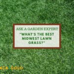 What Grass Seed Should I Use in the Mid West: Expert Tips