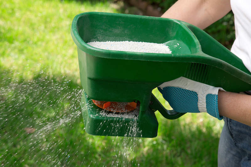 What to Use to Make Grass Greener And Thicker: Top Tips