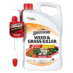 Which Brand is the Best Weed Killer for Your Grass