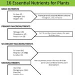 Is It Necessary to Test Lawn Soil for Nitrogen