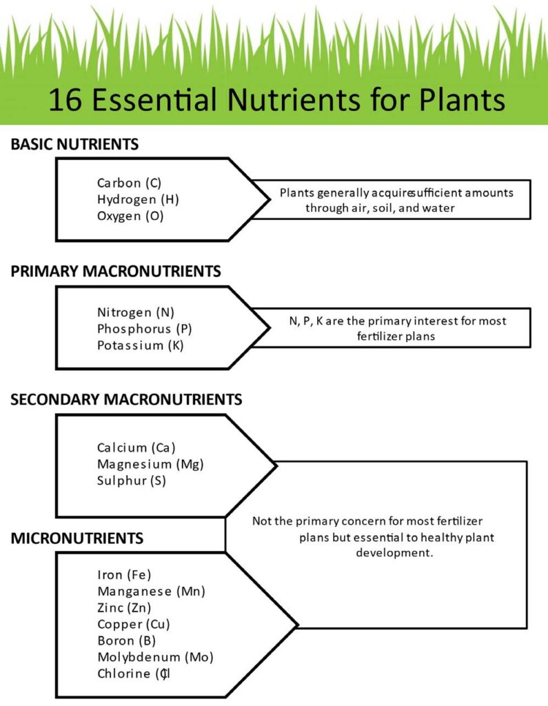 Is It Necessary to Test Lawn Soil for Nitrogen