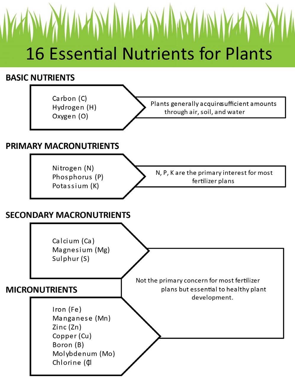 Is It Necessary to Test Lawn Soil for Nitrogen